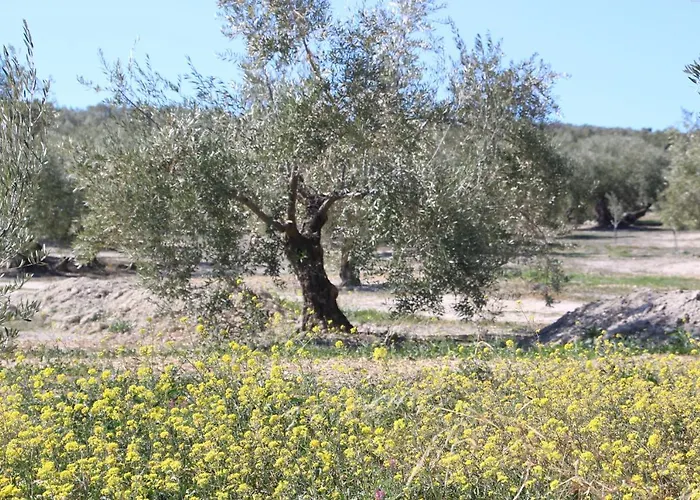 Appartement El Patio (cortijo La Cubertilla)