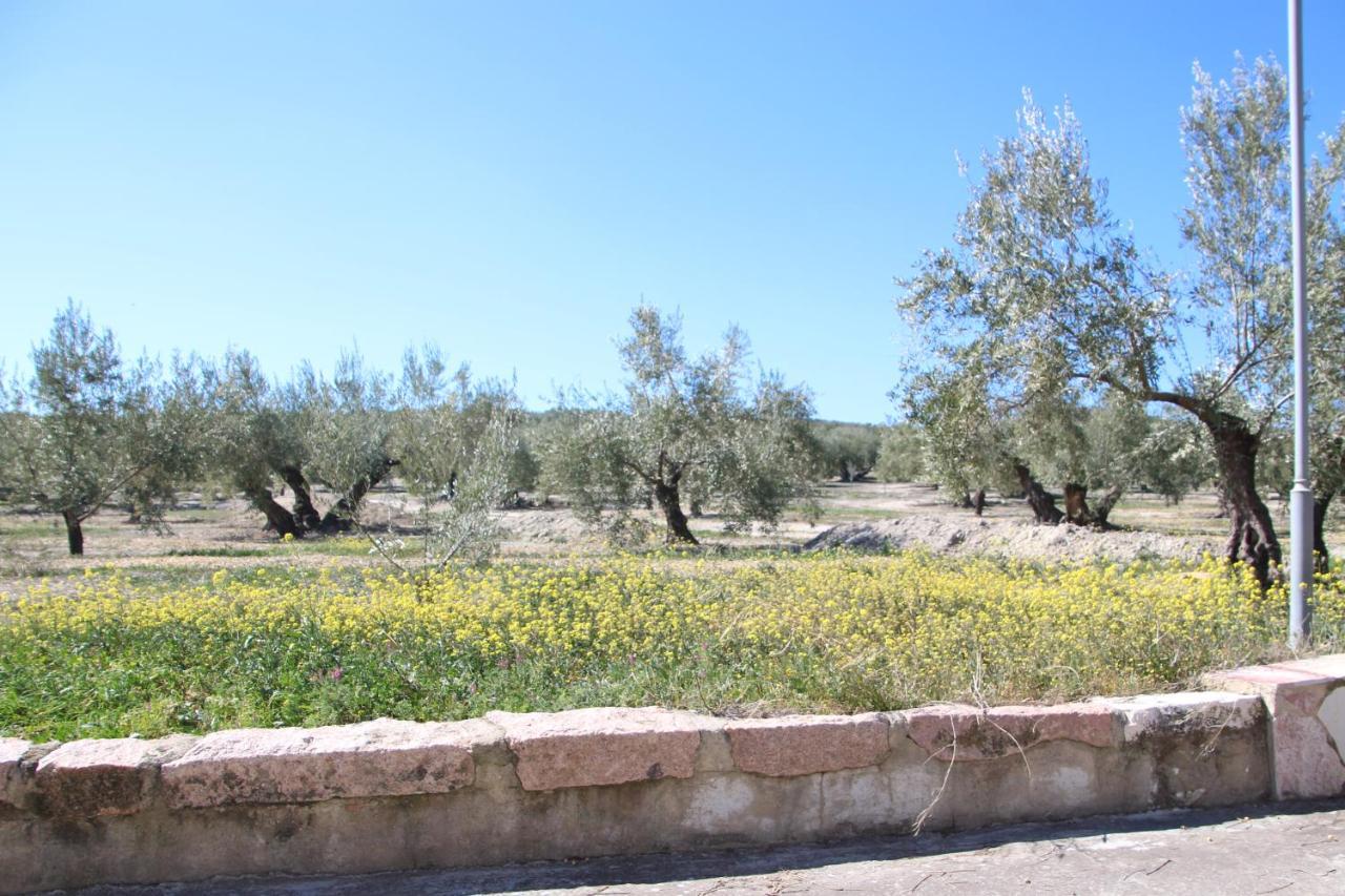 El Patio * Fuente-Tojar